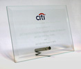 citi_award_2013